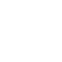 Icon-CustomizedPlans