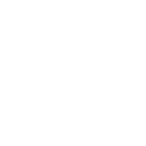 Product-icon