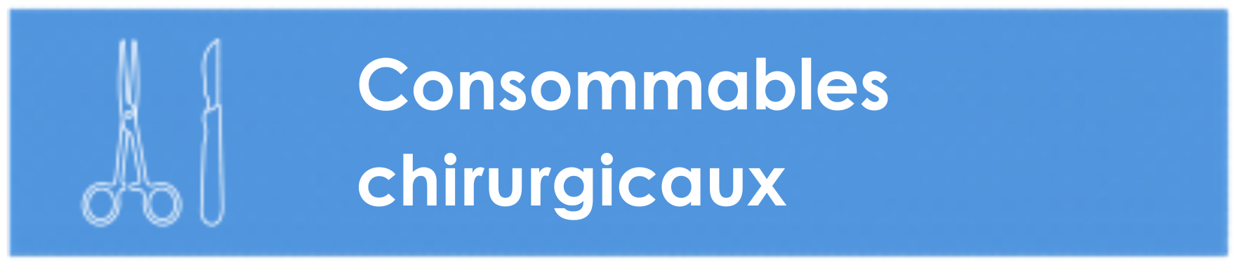 Vision Icons Recreation (4) surg consum FR